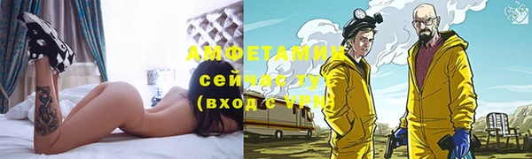 прущие грибы Абаза