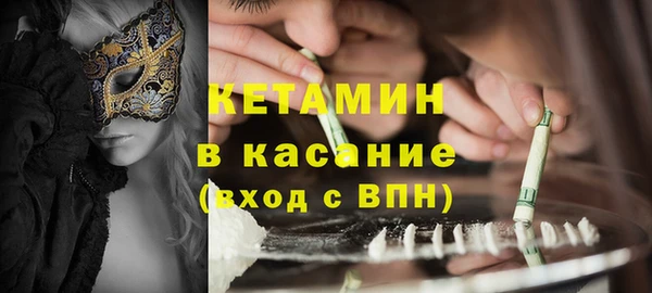 прущие грибы Абаза