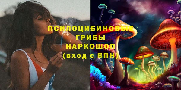 прущие грибы Абаза