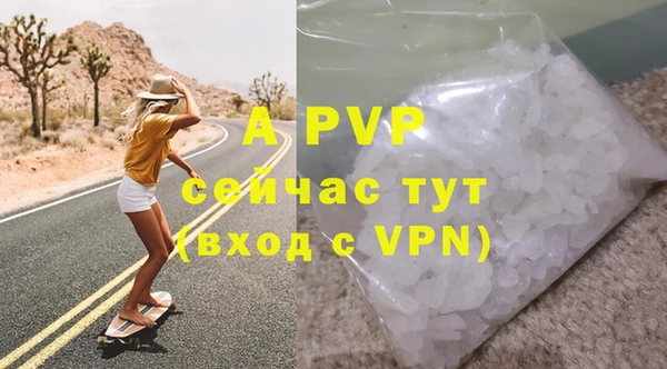 прущие грибы Абаза