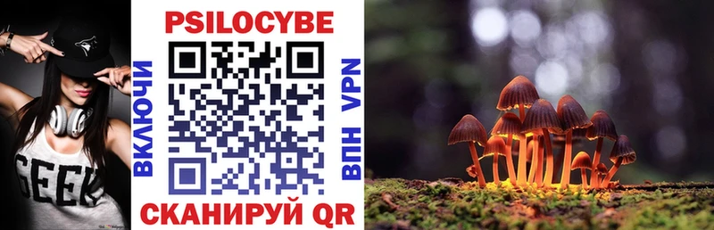 Псилоцибиновые грибы GOLDEN TEACHER  купить наркотик  Зея 